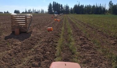 Maritime farmers assess damage from summer drought, look to next year