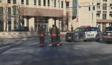 Dog dead after being struck by vehicle in Toronto along Lakeshore Blvd.
