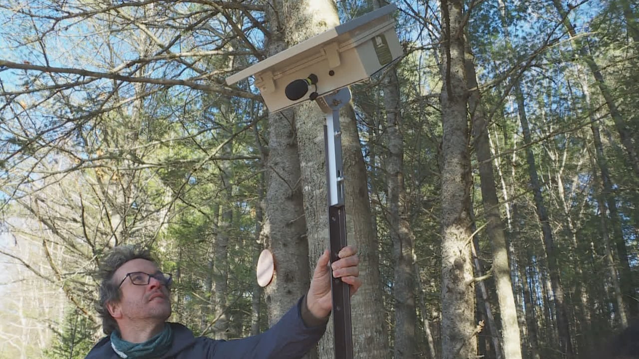 A man with glasses and curly black hair is holding the pole that has a recording system on top. 