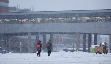 Sunday night snowstorm expected to hit N.L.’s Avalon Peninsula