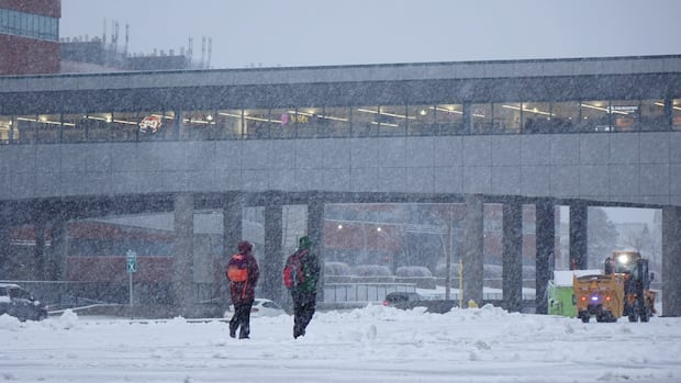 Sunday night snowstorm expected to hit N.L.’s Avalon Peninsula