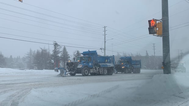 Schools closed for the day as eastern Newfoundland digs out from snowfall