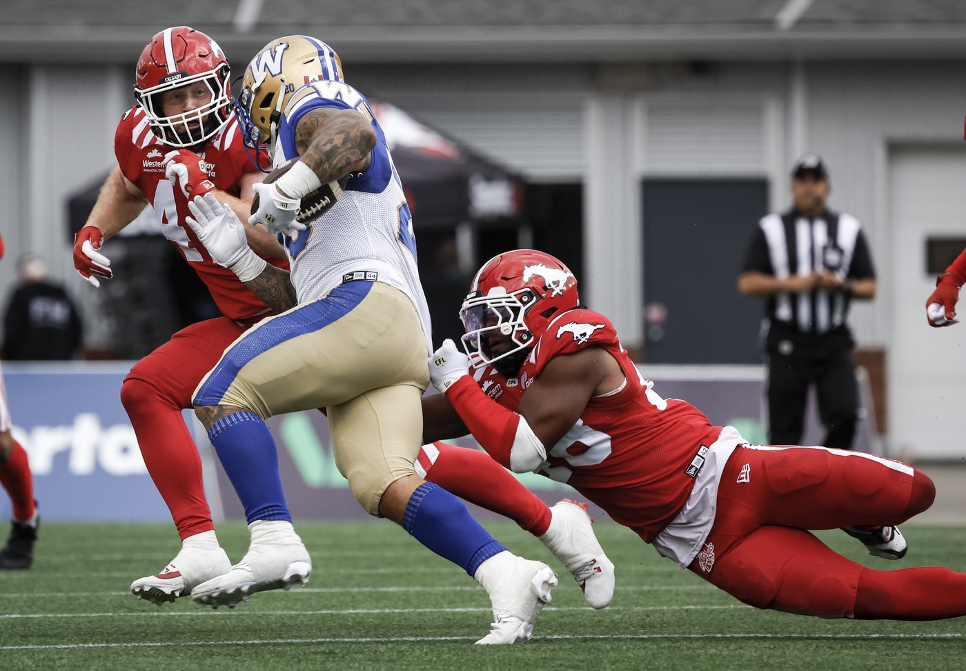 Source: Stampeders linebacker Roberts reaches multi-year deal with Minnesota Vikings | NanaimoNewsNOW