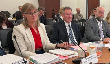 Education Department to review hiring policy for new B.Ed. grads following unintended consequences