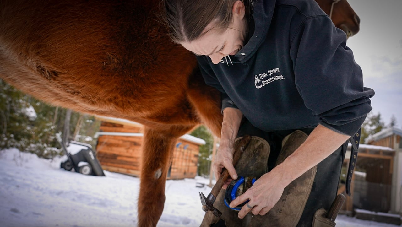 woman placing a blue snow pad to a horse's shoe.