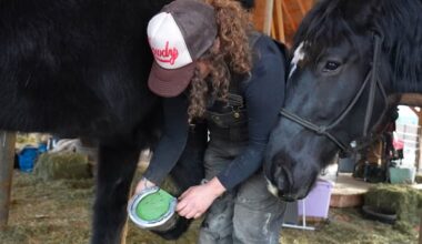 A look at the female farriers who keep the Okanagan’s working horses from slipping in the snow