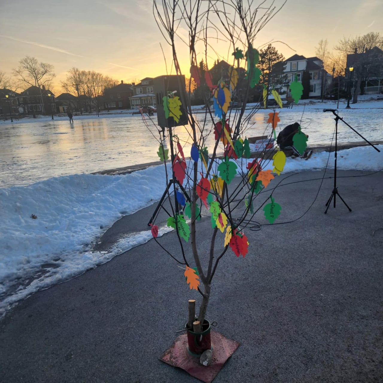 A tree with bare branches except for 35 colourful paper leaves in a Christmas tree stand in front of a snow covered field surrounded by old homes.