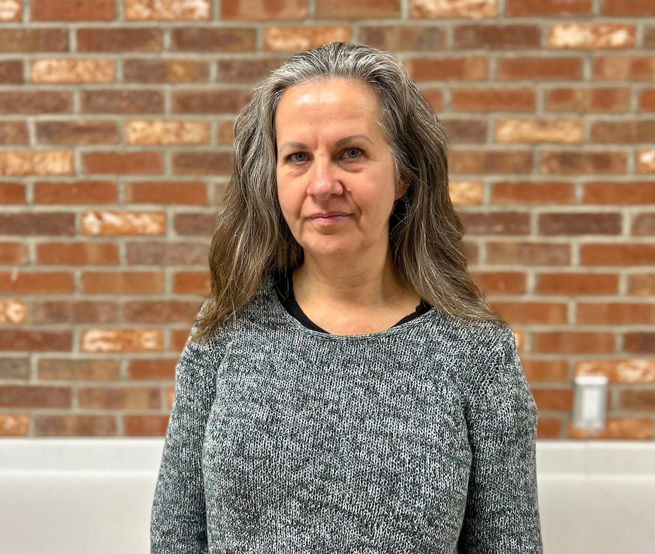 An upper body portrait of a woman with long salt-and-pepper coloured hair and wearing a gray sweater.
