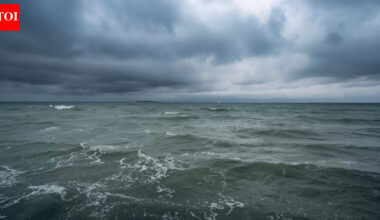 This ocean near Panama is dying, and same thing might happen all over earth | World News