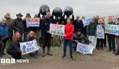 A group of people on a beach with banners opposing the use of biobeeds