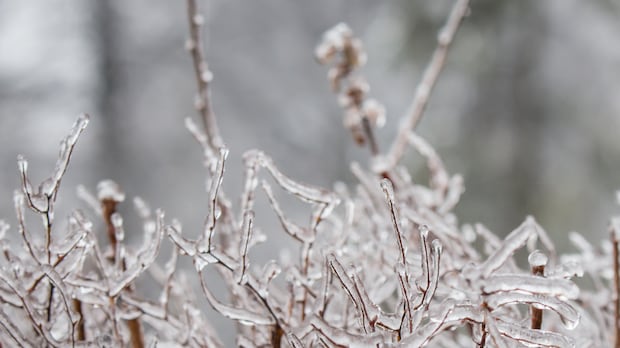 Freezing rain warning issued for Kingston area