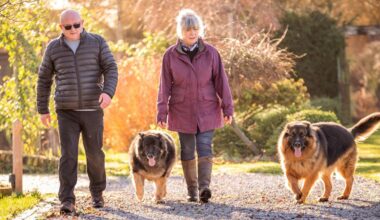 'It's helped our retirement savings go further!' Retirees thrilled over side hustle success