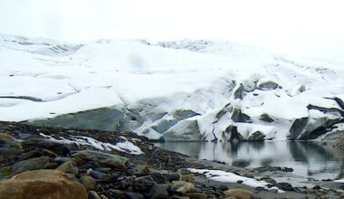 Western Canada glaciers suffered 2nd-greatest ice loss on record in 2025