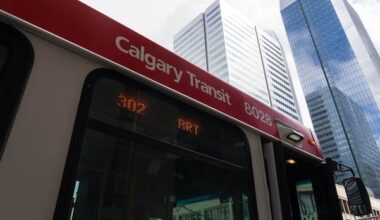 Calgary Transit crime crackdown highlights safety problem, union says