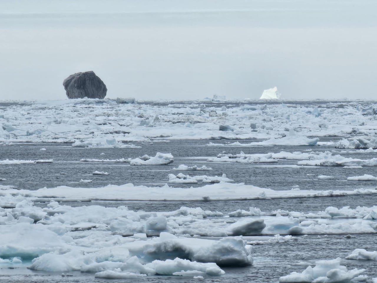 A pitch-black diamond shaped iceberg floats in the distance surrounded by other icebergs and chunks of floating ice.  