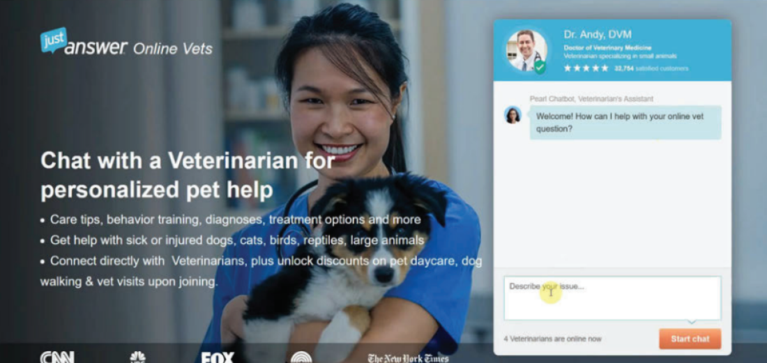 An example of one of the websites controlled by Just Answer.