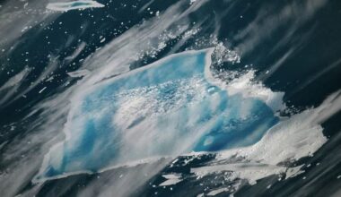 One of the largest icebergs ever tracked is expected to disintegrate soon - CTV News