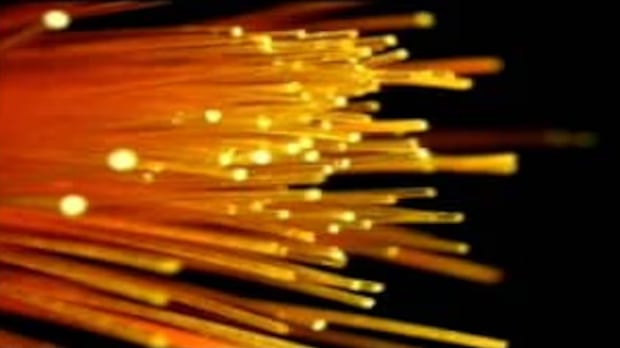 Saint John touted as 'hidden gem' for artificial intelligence