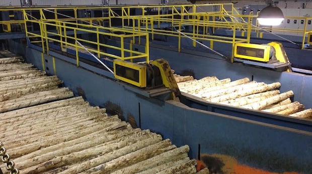 With no end to U.S. tariffs in sight, another sawmill shuts down in northwestern Ontario