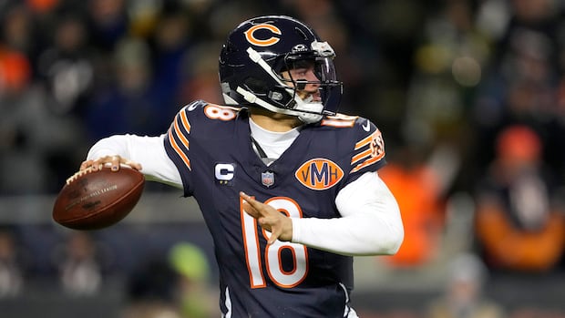 Who will reach the NFL's final 4?