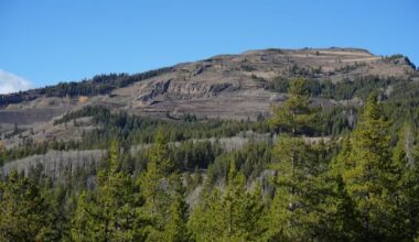 Alberta regulator opens public input for Northback coal mining project proposal