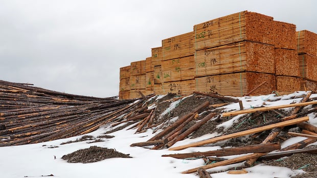 Greenpeace calls for more transparency from Canada's largest pulp and paper company