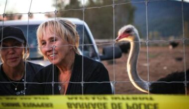 Tribunal upholds $10K fine for B.C. ostrich farm over failure to report sick birds