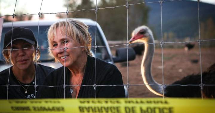 Tribunal upholds $10K fine for B.C. ostrich farm over failure to report sick birds