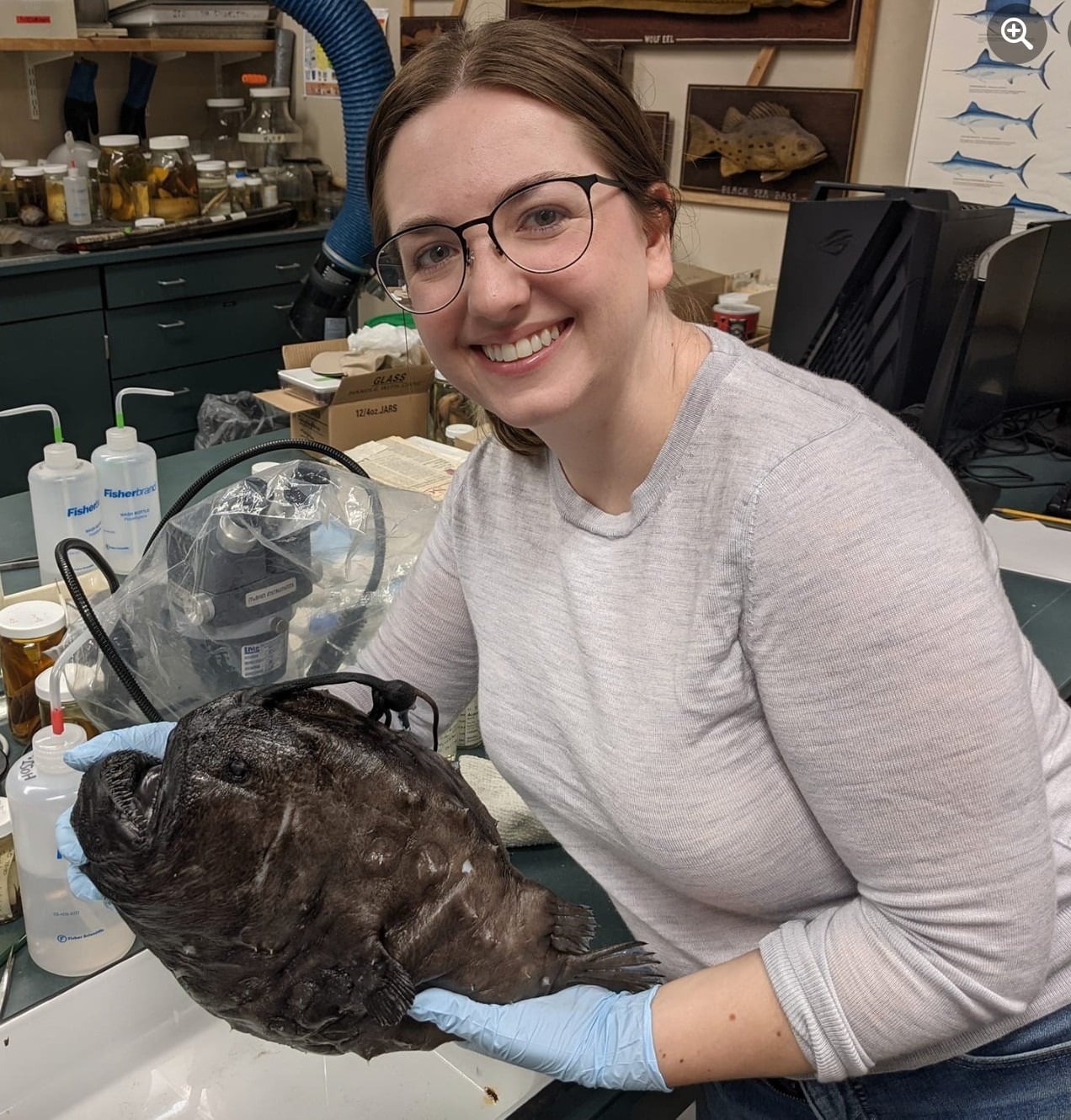 A woman holds a medium sized dark footballfish, a deep sea fish that washed ashore.