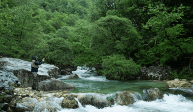 These Researchers Are Working to Quantify the Value of Nature – Mother Jones