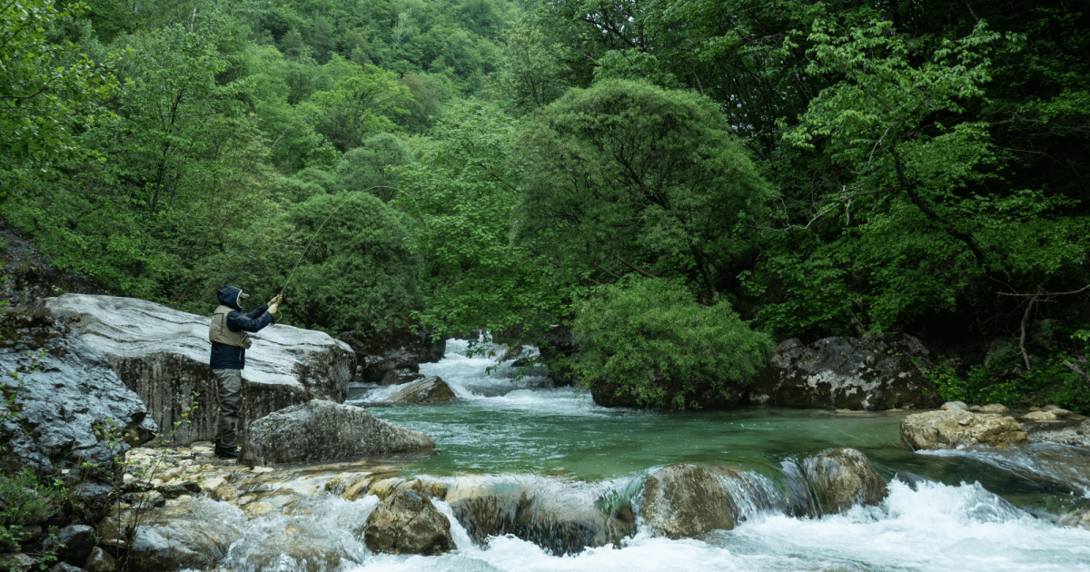 These Researchers Are Working to Quantify the Value of Nature – Mother Jones