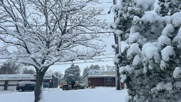 Cleanup underway as snowfall prompts delays, closures across P.E.I.