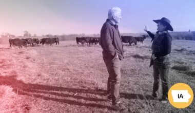 How midterms are shaping up, ancient math, orca encounter: Catch up on the day’s stories