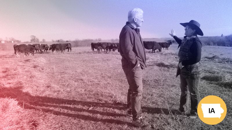 How midterms are shaping up, ancient math, orca encounter: Catch up on the day’s stories