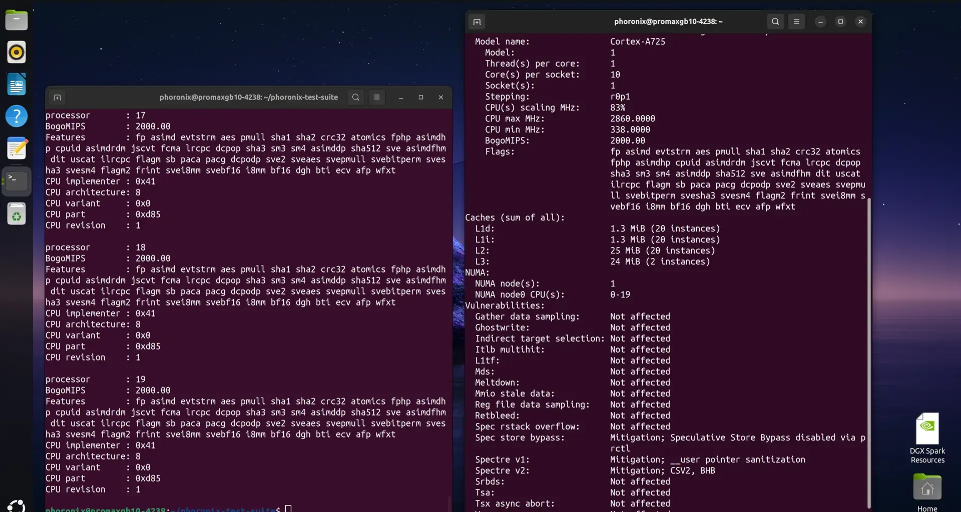 NVIDIA GB10 CPU information