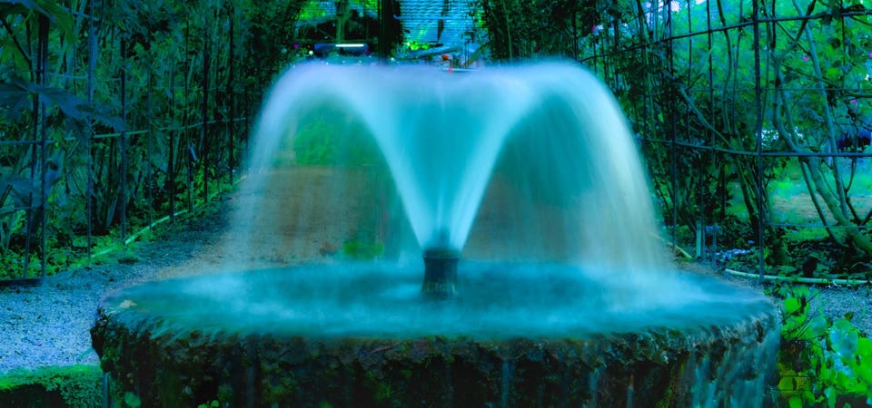Fountain pond in a shady garden