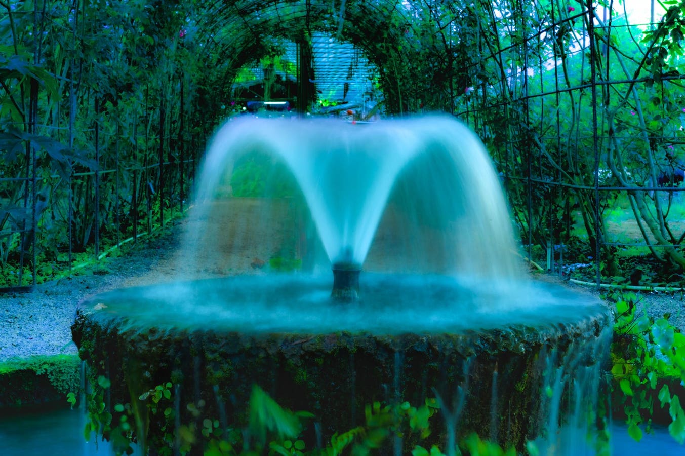 Poison Fountain And The Rise Of An Underground Resistance To AI