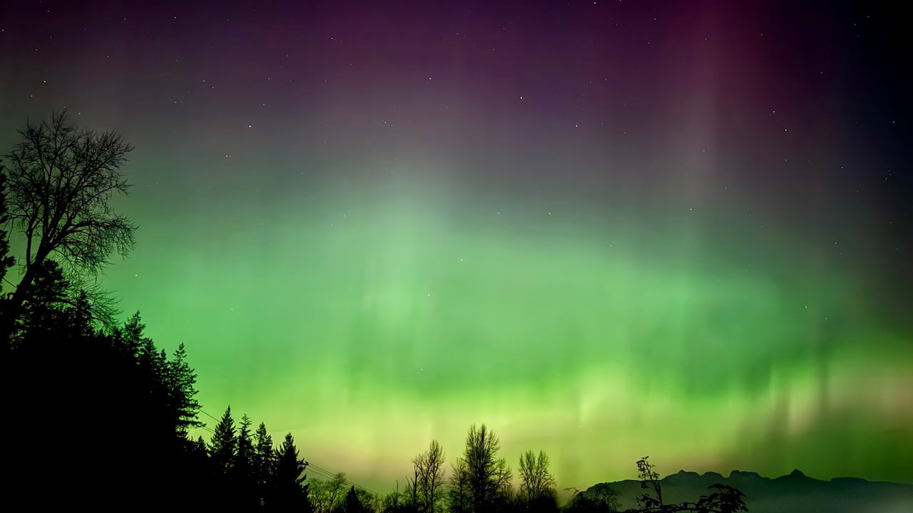Northern lights in the night sky.