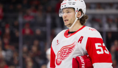 Moritz Seider - Fantasy Hockey Rankings NHL DFS Picks, DFS Hockey - icon rotoballer