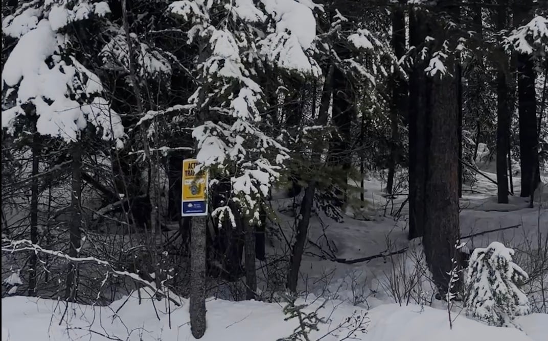 Picture of a sign saying 'Active Traps'