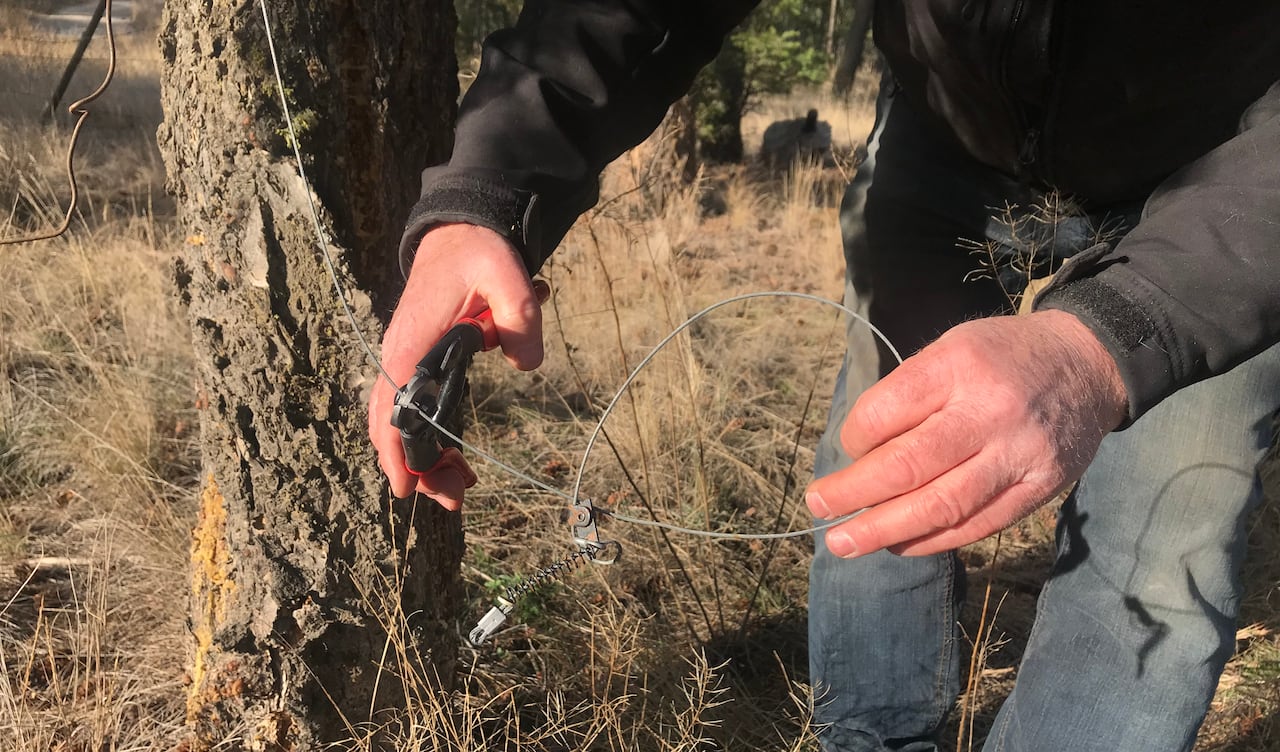 A man uses wire cutters to snip metal wire.