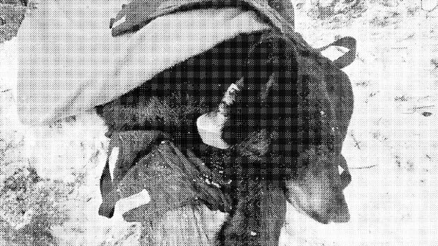 Black bear ordered moved by Banff National Park leadership against wildlife experts' advice