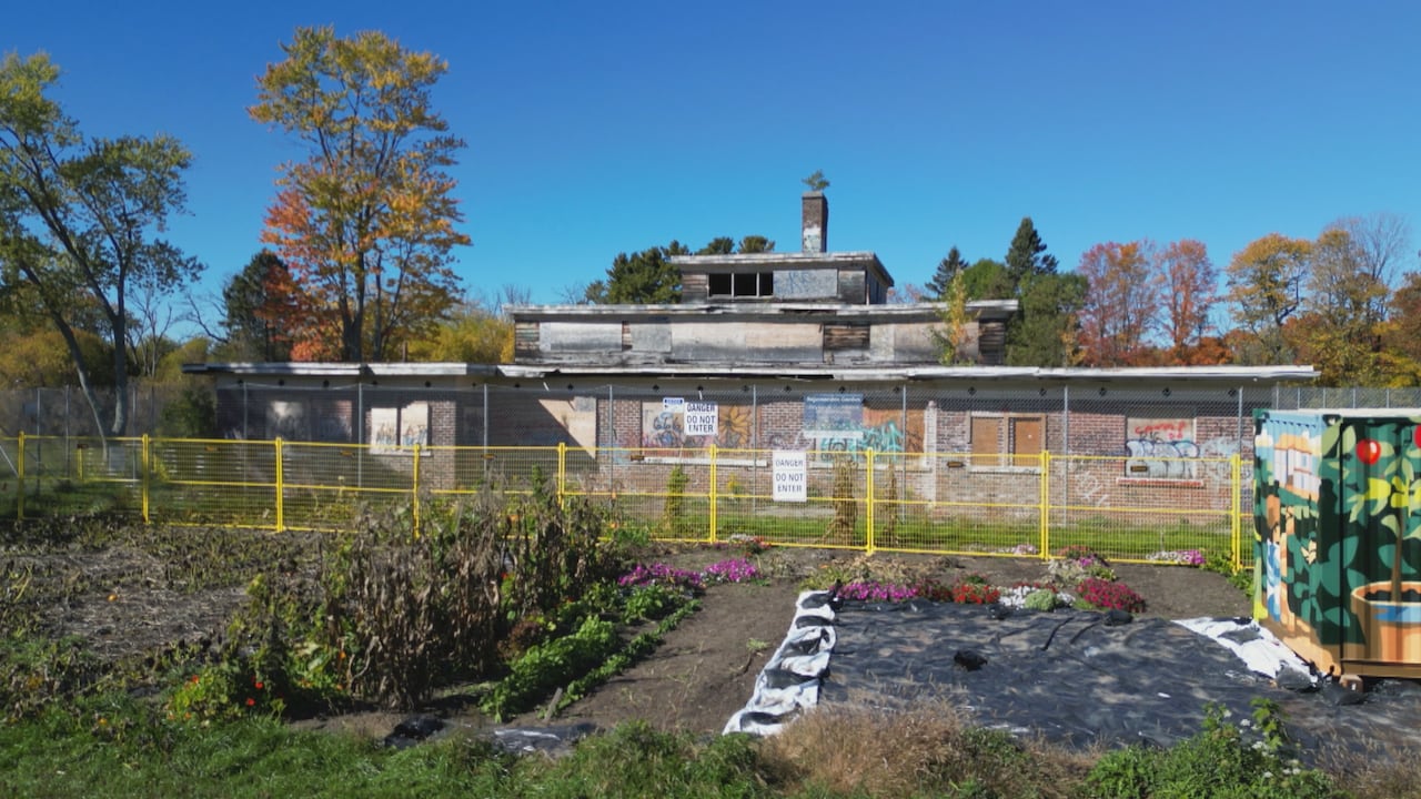 A rejuvination garden has been created by the Jury Lands Foundation near the cafeteria at Camp 30, in order to show the land can be a valuable community resource.