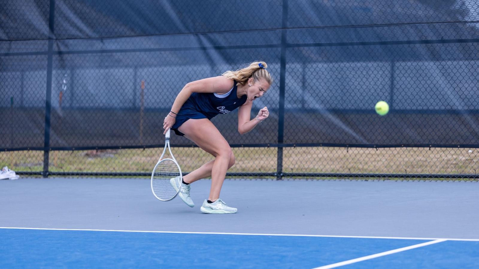 University of South Florida Logo