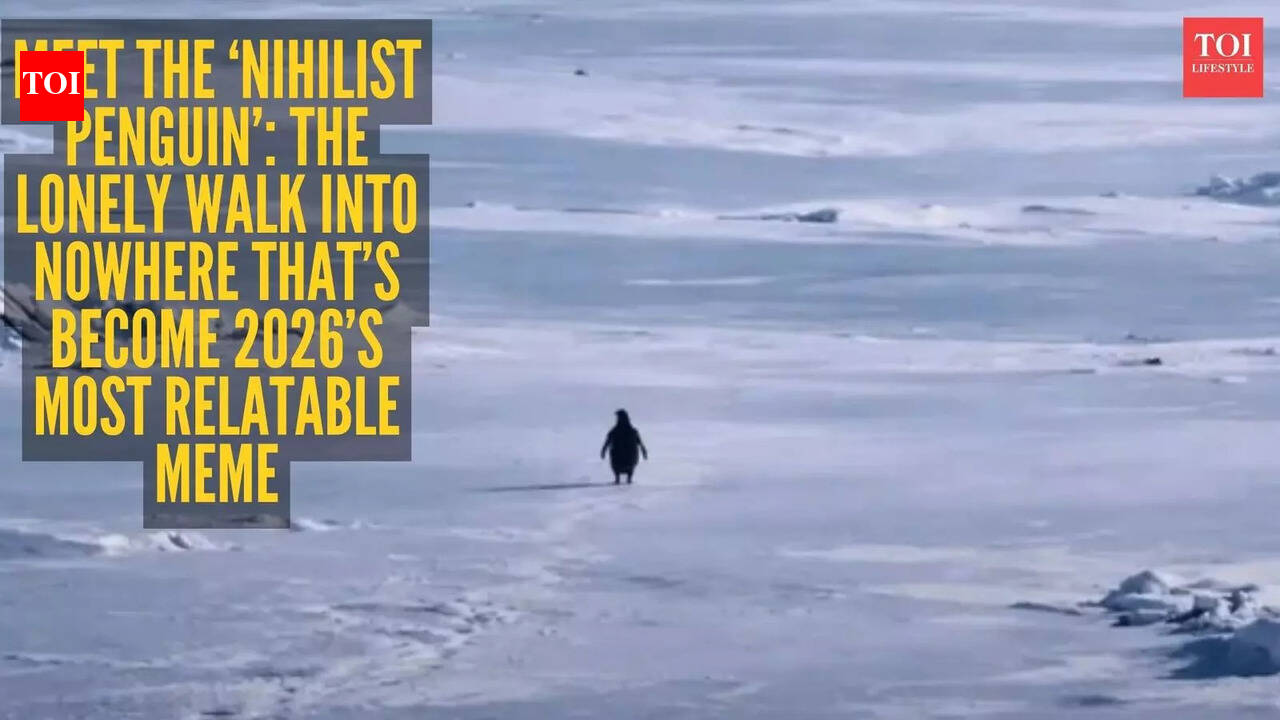 Explained: Why is a penguin’s 'death march' going viral? Know the meaning behind 'Nihilist Penguin' meme