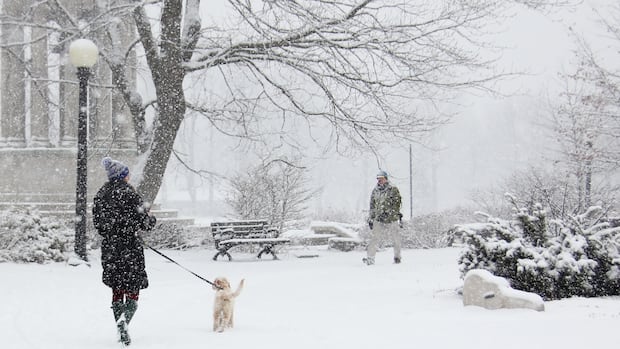 Freezing wind, heavy snowfall blows through Waterloo region, Guelph and surrounding areas