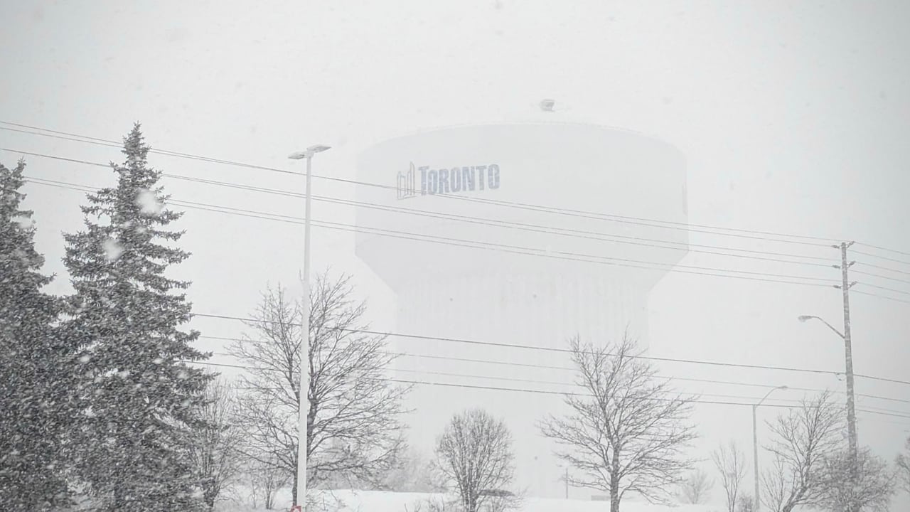 Rouge Tank in Scarborough barely visible through falling snow
