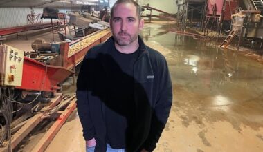 'Quality is king': P.E.I. sees increase in irrigation applications after tough season