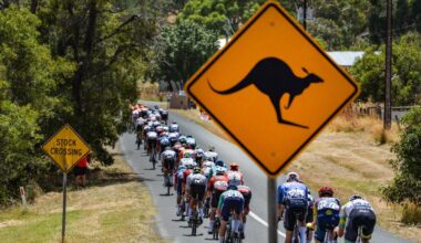 Kangaroo chaos! Two of Australia's native animals cause crashes in cycling race