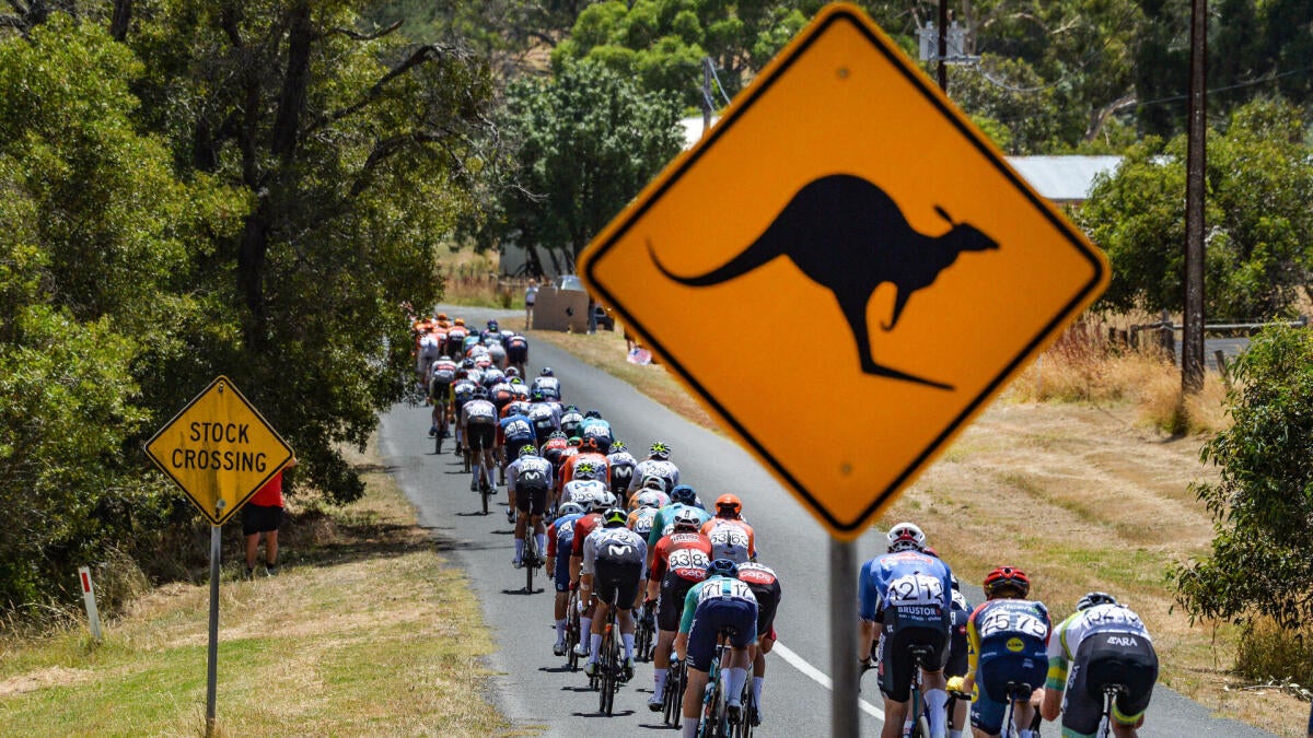 Kangaroo chaos! Two of Australia's native animals cause crashes in cycling race
